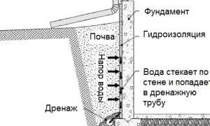 Чесотка педикулез алгоритм действия медицинского персонала