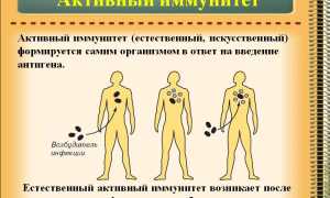 Активный иммунитет
