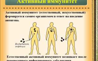 Активный иммунитет