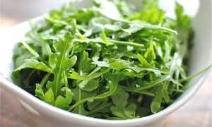Салат руккола — вкусная польза для организма. Лечебные свойства рукколы и противопоказания к употреблению