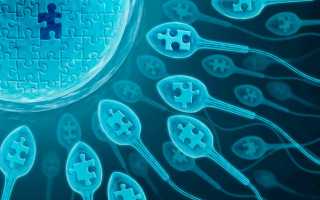 Мужское бесплодие: причины, классификация, лечение