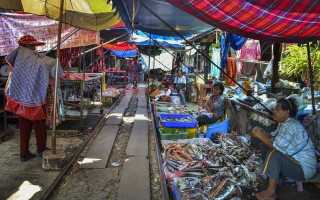 Малярия в таиланде ростуризм