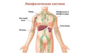 Воспалился подмышечный лимфоузел — что это значит и что делать?