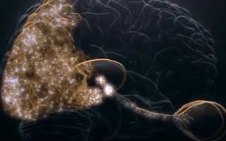 Правильное проведение ЭЭГ для детей