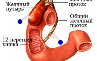 Симптомы воспаления желчного пузыря и способы лечения болезни