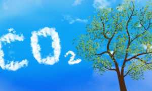 CO2 — лечение Коронавируса COVID-19 углекислым газом, метод Бутейко и сода