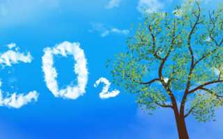 CO2 — лечение Коронавируса COVID-19 углекислым газом, метод Бутейко и сода