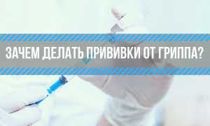 Я Никогда Не Болею. Зачем мне делать прививку от гриппа?
