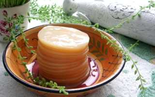 Чайный гриб — полезные свойства, применение, противопоказания. Рецепты народной медицины