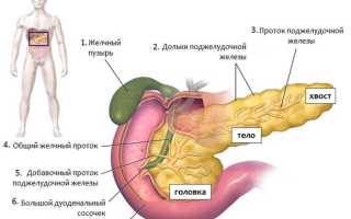 Как понять, что беспокоит поджелудочная железа? Какие заболевания бывают?