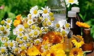 Как отличить молочницу у младенца от молочного налета