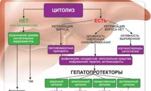 Гепатопротекторы с доказанной эффективностью для печени – названия, список