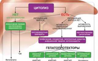 Гепатопротекторы с доказанной эффективностью для печени – названия, список