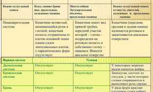 В чем сходство и различие кольчатых и круглых червей