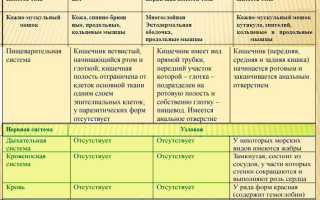 В чем сходство и различие кольчатых и круглых червей