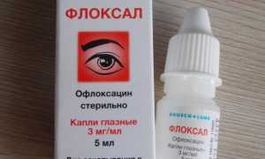 Флоксал (капли, мазь для глаз) — инструкция по применению, аналоги, отзывы