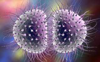 Гонорея (триппер) — признаки у женщин и мужчин, диагностика, лечение