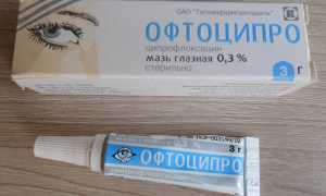 Глазная мазь Офтоципро
