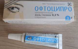 Глазная мазь Офтоципро
