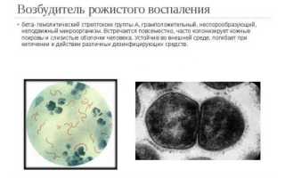 Рожистое воспаление ноги — причины, симптомы и лечение рожи на ноге