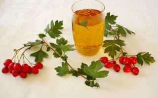 Боярышника настойка — инструкция, показания, состав, способ применения, лечебные свойства