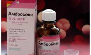 Сироп Амбробене для детей — что нужно знать о препарате. Инструкция и отзывы