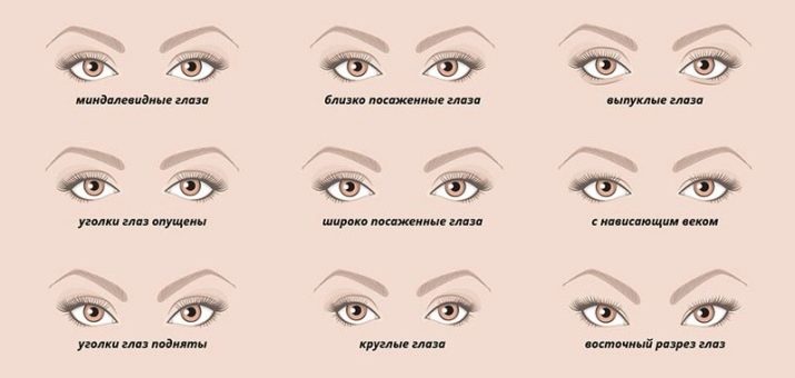 Виды разрезов глаз
