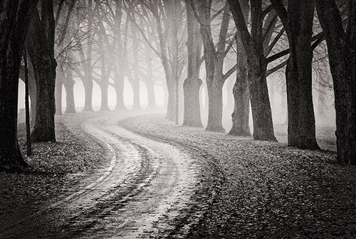 Мир в серых тонах