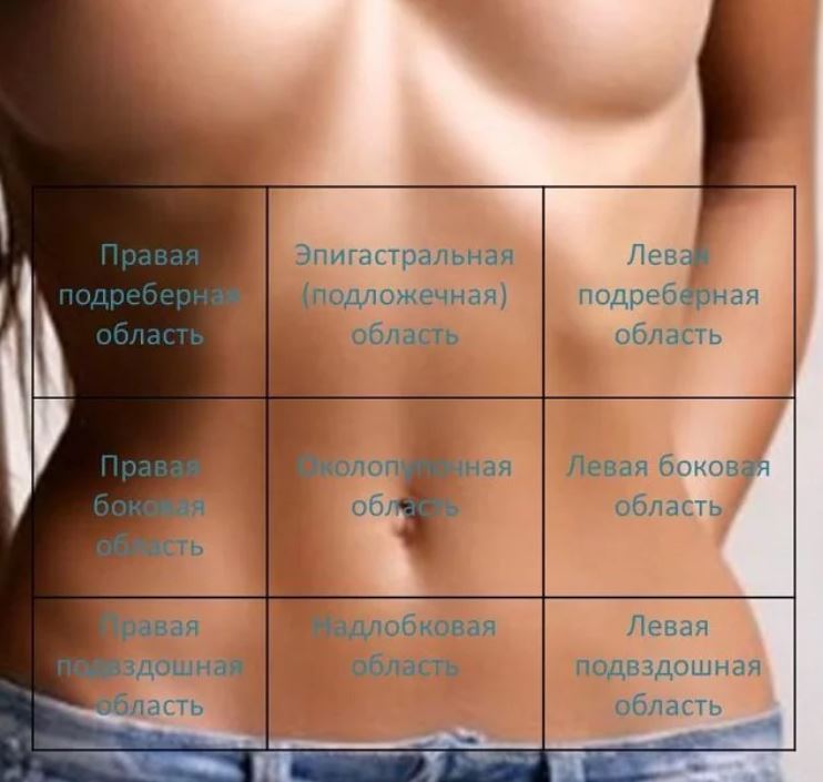 Области на животе, по локализациям болей.