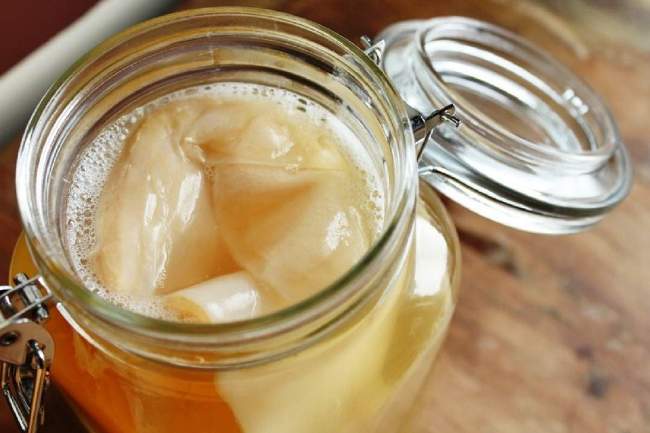 Чайный гриб легко вырастить в домашних условиях. Хранить его следует в темном и теплом месте