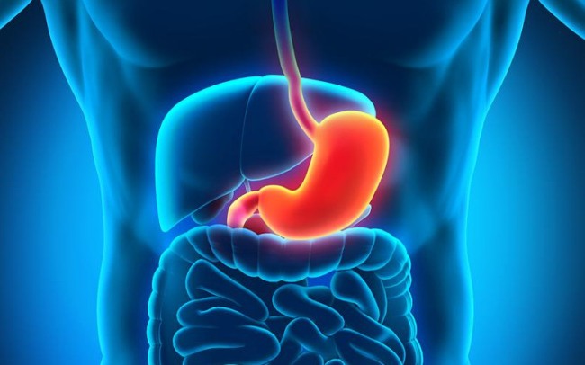 Чайный гриб нельзя принимать при гастрите