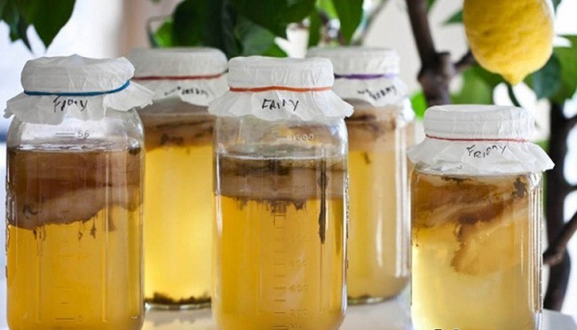 Чайный гриб успешно применяют в косметологии, он эффективно очищает кожу лица