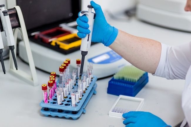 В современной медицине анализ на хеликобактер пилори (Helicobacter pylori) назначается практически всем пациентам с язвенной болезнью желудка и/или двенадцатиперстной кишки