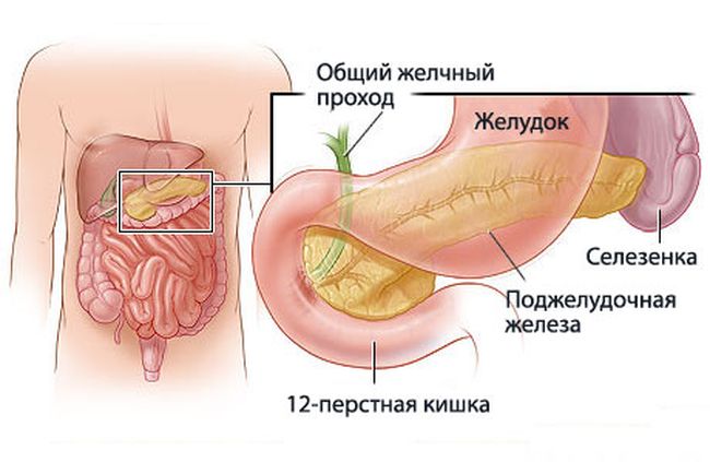 Причины застоя желчи в желчевыводящих путях систематизировать довольно трудно