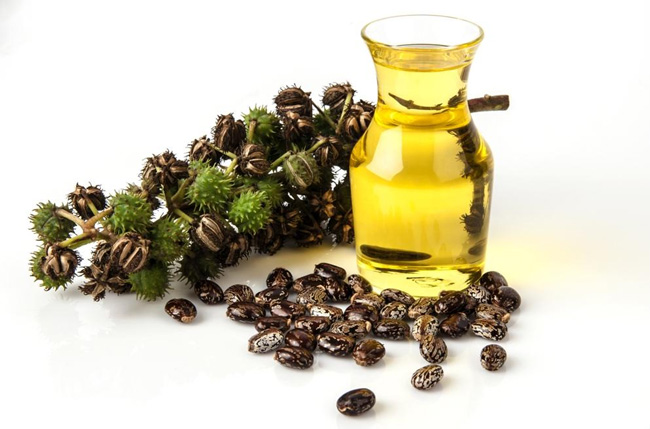 Касторовое масло - доступное по стоимости, применяется в медицине и косметологиии, масло уникально по своему спектру действия и не имеет аналогов по полезным свойствам