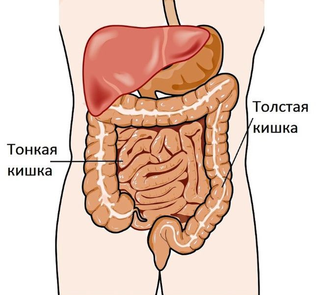 При наличии проблем с органами пищеварения может возникнуть и такое заболевание, как колит кишечника
