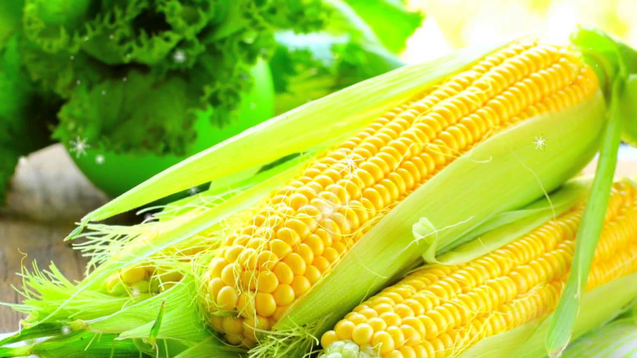 Мало кто знает, что кукуруза - это не только вкусное блюдо, но еще и очень полезный для организма продукт