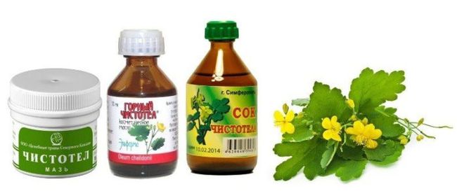 Из народных средств при остроконечных кондиломах рекомендуется сок чистотела