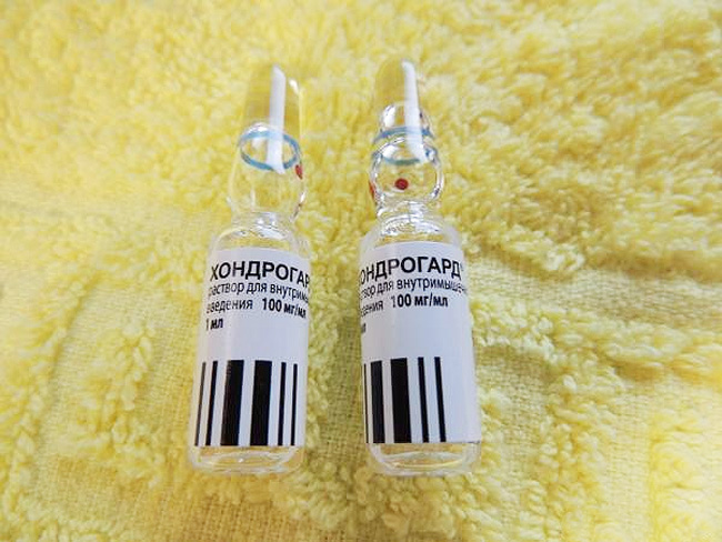 Хондрогард — выпускается только в виде раствора для в/м инъекций в бесцветных стеклянных ампулах