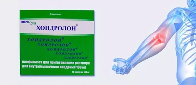 Хондролон - средство-аналог Хондрогарду, оно выводится из организма быстрее, чем Хондрогард