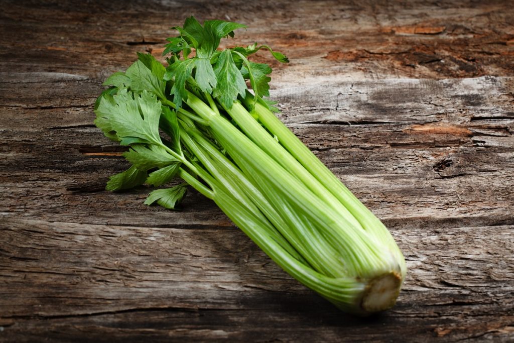 Сельдерей - незаменимый продукт в рационе людей, которые сидят на диетах или просто придерживаются здорового образа жизни 
