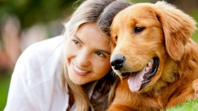 Заразиться вшами можно только при непосредственном контакте с носителем