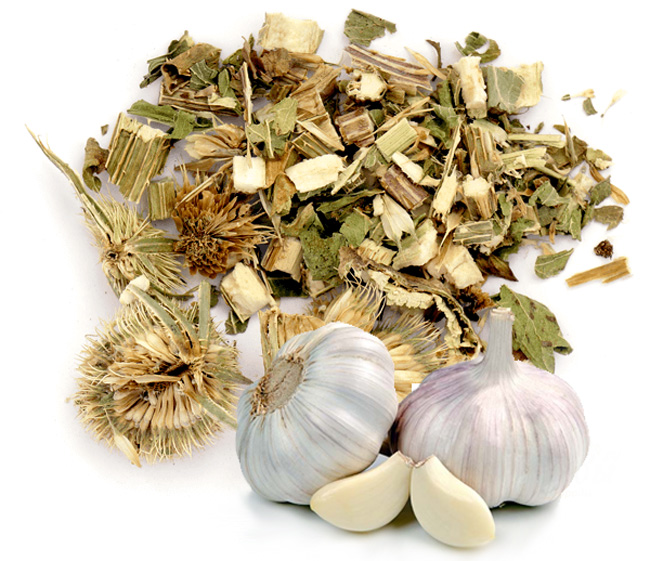 При поражениях кожи, народная медицина предлагает настои и примочки из чеснока или золотой колючки