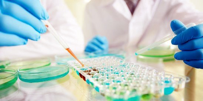 Для выявления золотистого стафилококка, проводят ряд анализов и по результатам определяют степень инфицирования и тяжесть протекания патологии